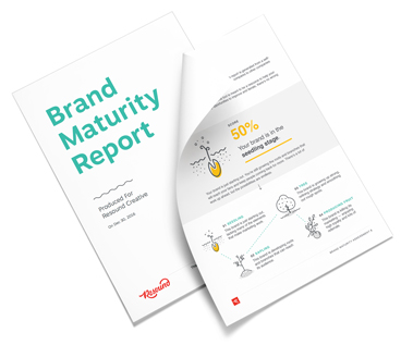 Example pdf of what you should expect from the brand assessment tool