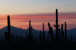 Arizona branding agency