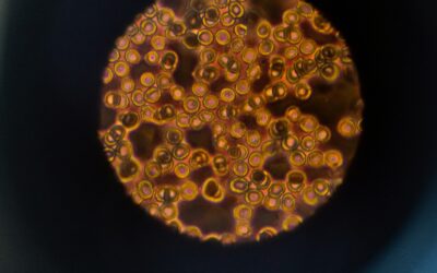 Brand Discovery: Is Your Firm Suffering From a Bland Brand?