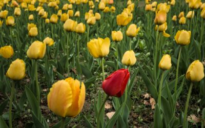 What is cheap AI content costing your brand?